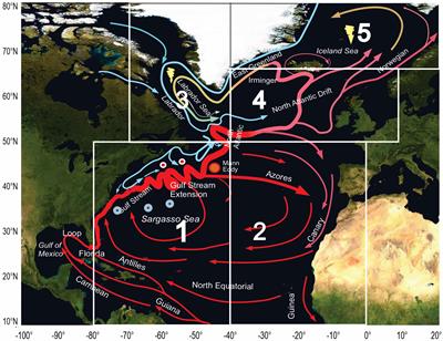 Revisiting the multidecadal variability of North Atlantic Ocean circulation and climate